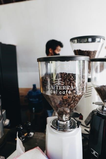 saeco espresso machine manual