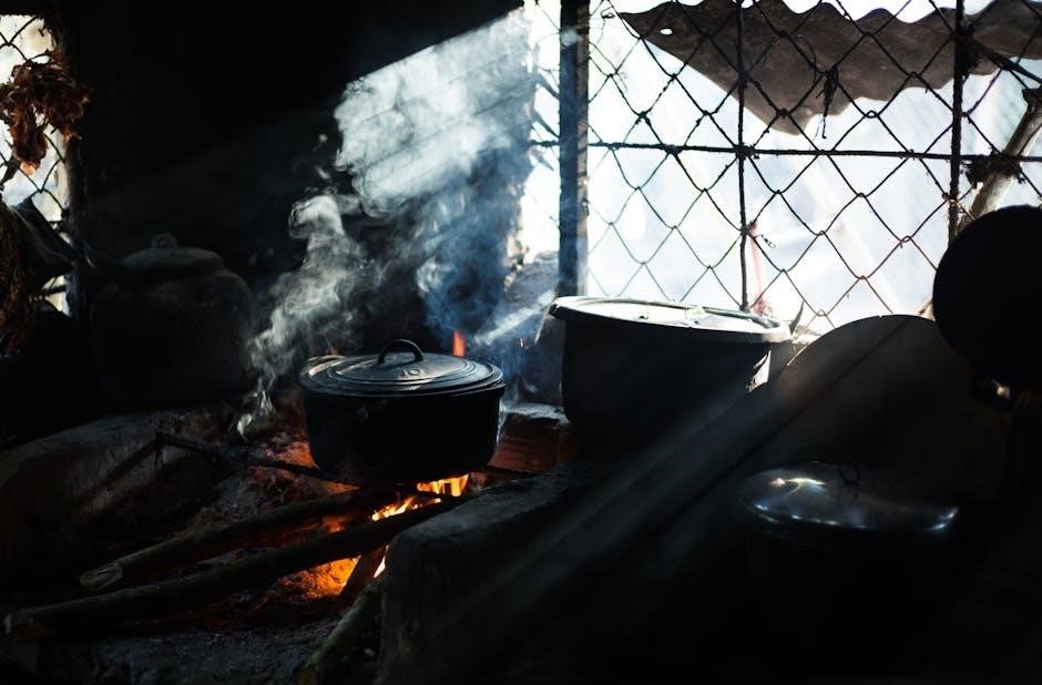 wolf steam oven manual