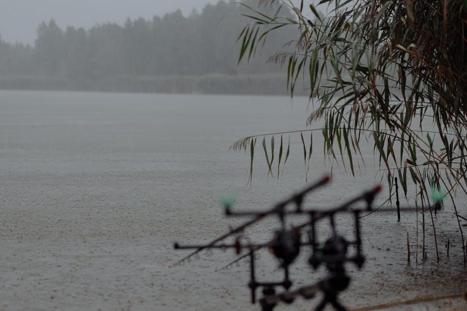 rainy lake guiding