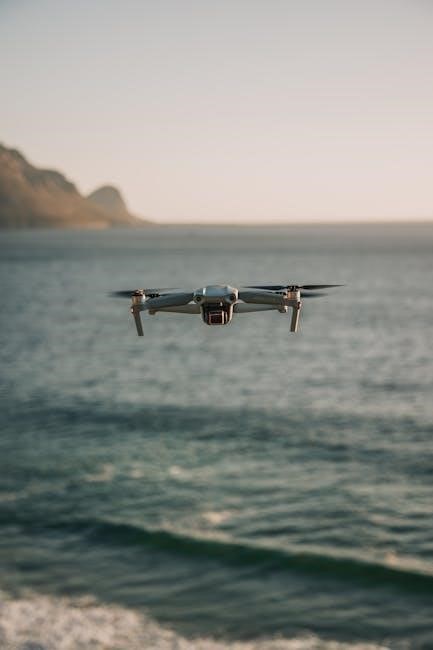 dji mavic user manual